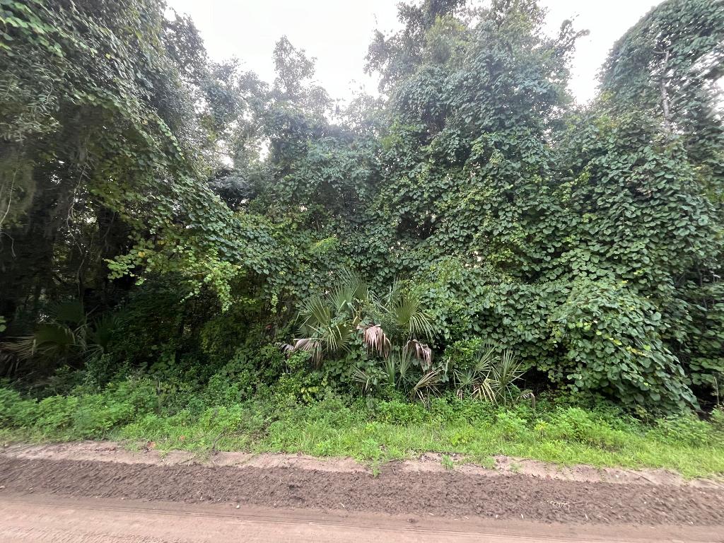 INTERLACHEN LAKES ESTATES - Land