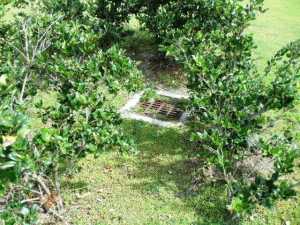 Palm Beach Point - Land