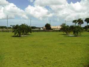 Palm Beach Point - Land