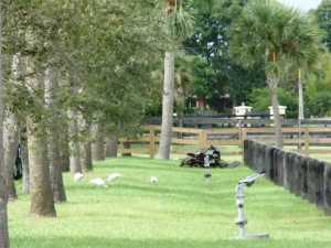 Palm Beach Point - Land