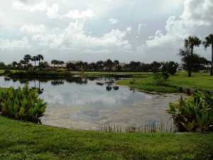 Palm Beach Point - Land