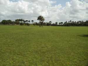 Palm Beach Point - Land