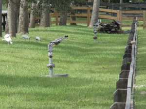 Palm Beach Point - Land