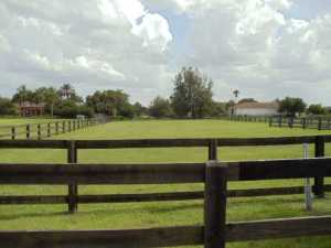 Palm Beach Point - Land