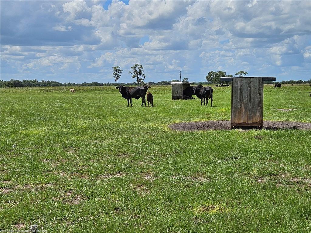 1000 Cattle Ranch Rd