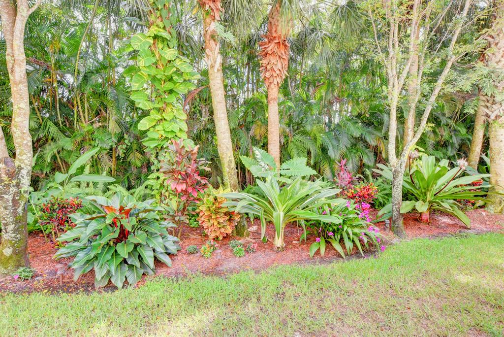 DREXEL PARK TOWNHOMES I CONDO - Residential