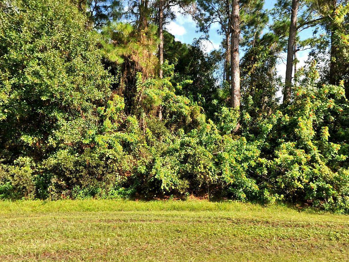 EXCELLENT PORT SAINT LUCIE LOCATION TO BUILD YOUR NEW HOME CLOSE TO SHOPPING, RESTAURANTS, GOLF, GROCERY, AND MORE WITH EASY ACCESS TO I-95 AND THE FLORIDA TURNPIKE. SHORT DRIVE TO BEACHES AND ATTRACTIONS. OK TO DRIVE BY!See Office Remarks for Contact Agent INFO.
