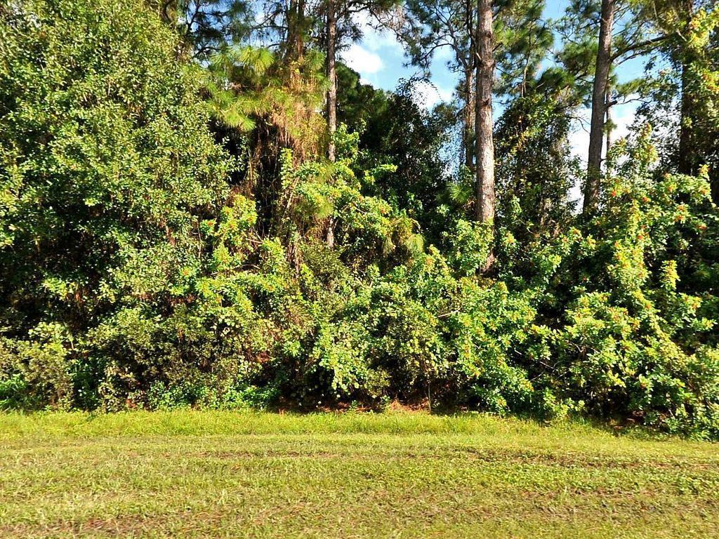 Photo of 3149 SW Savona Boulevard, Port St Lucie, FL 34953 (MLS # R10805449)