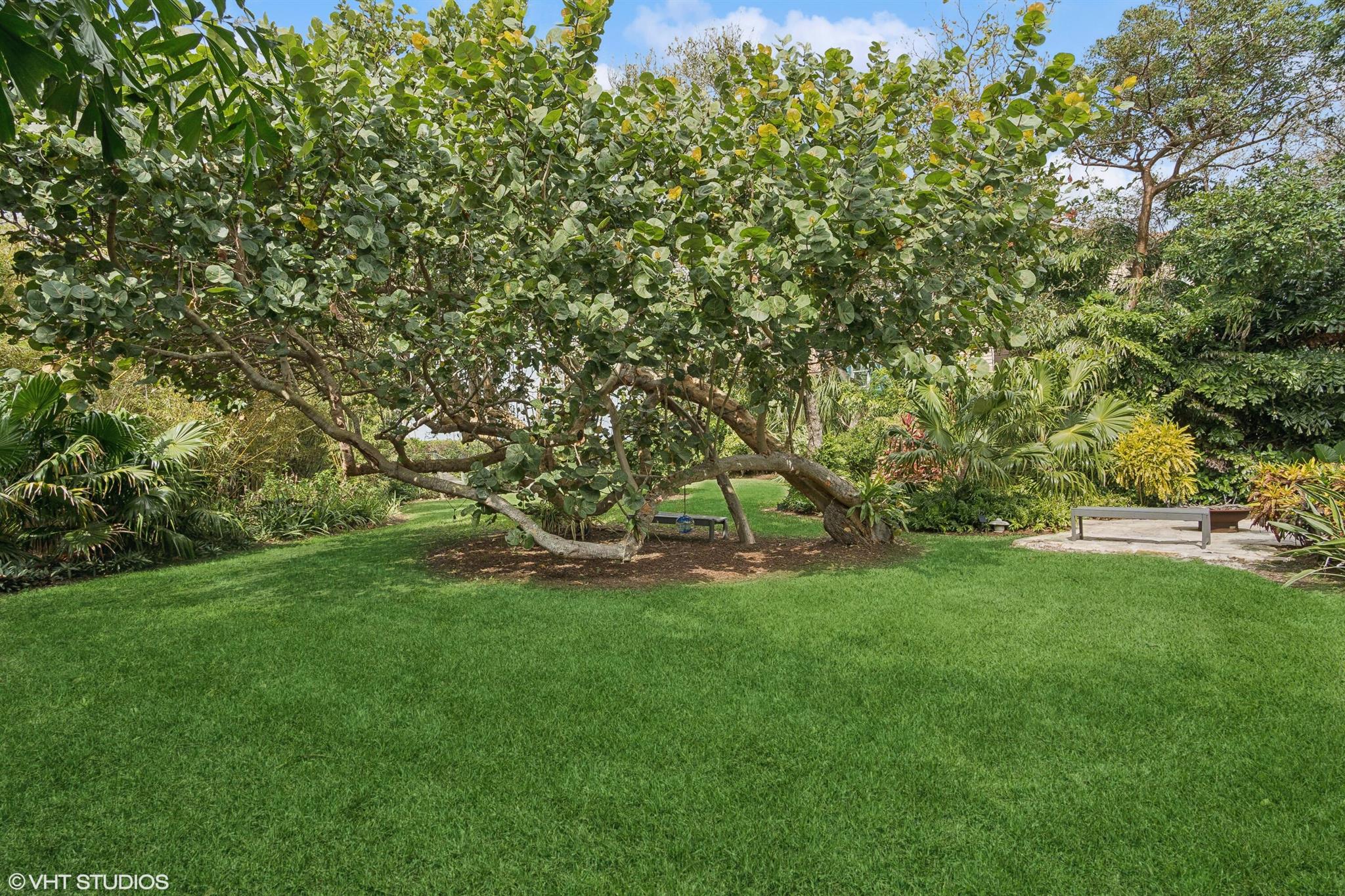 BUTTONWOOD - Residential