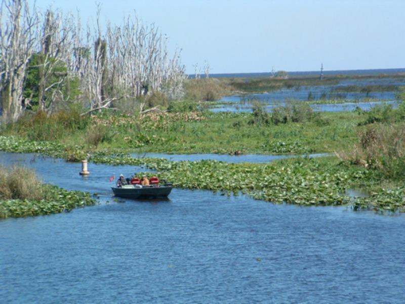 Vikings/Prairie - Land