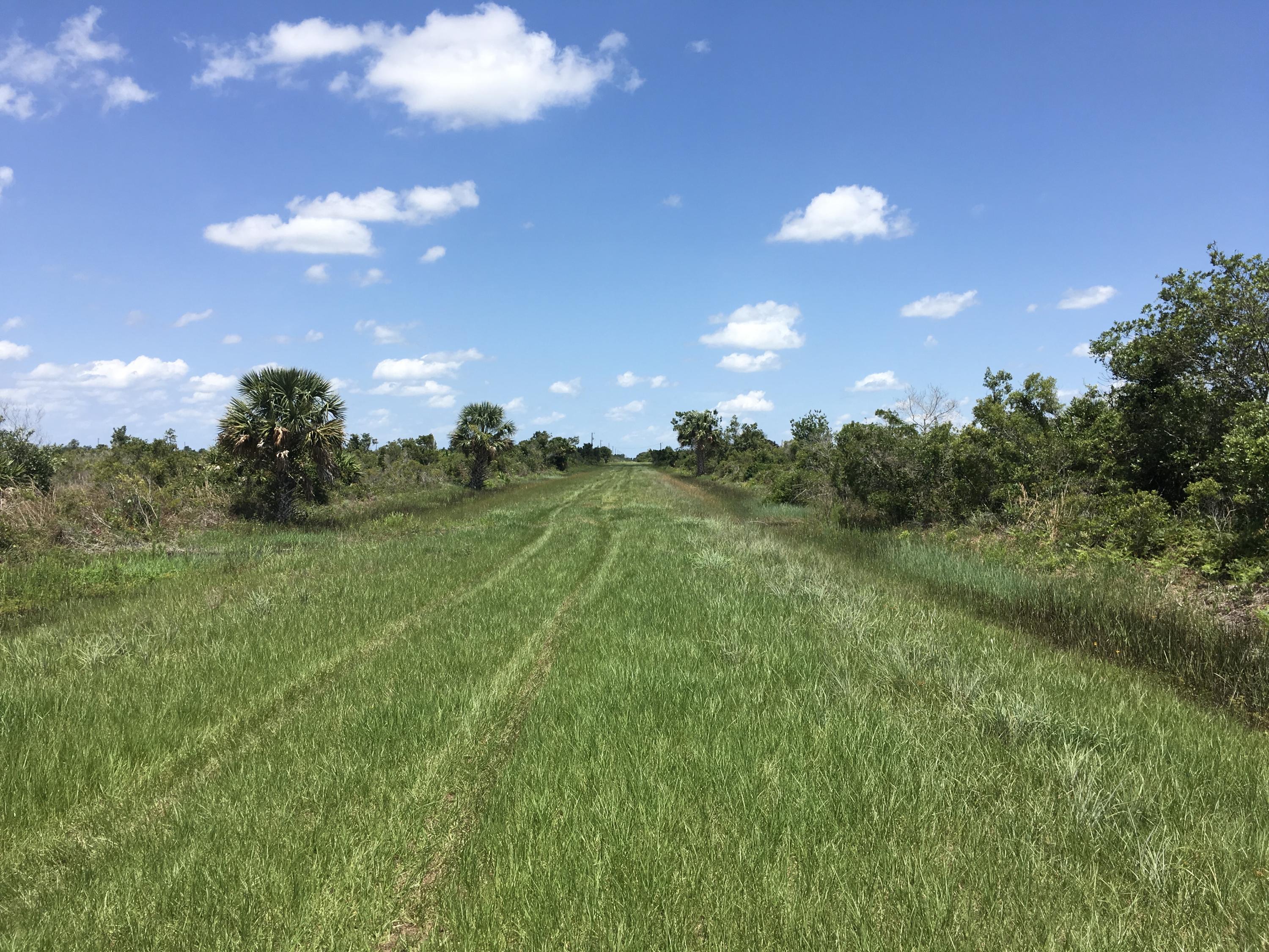 Vikings/Prairie - Land