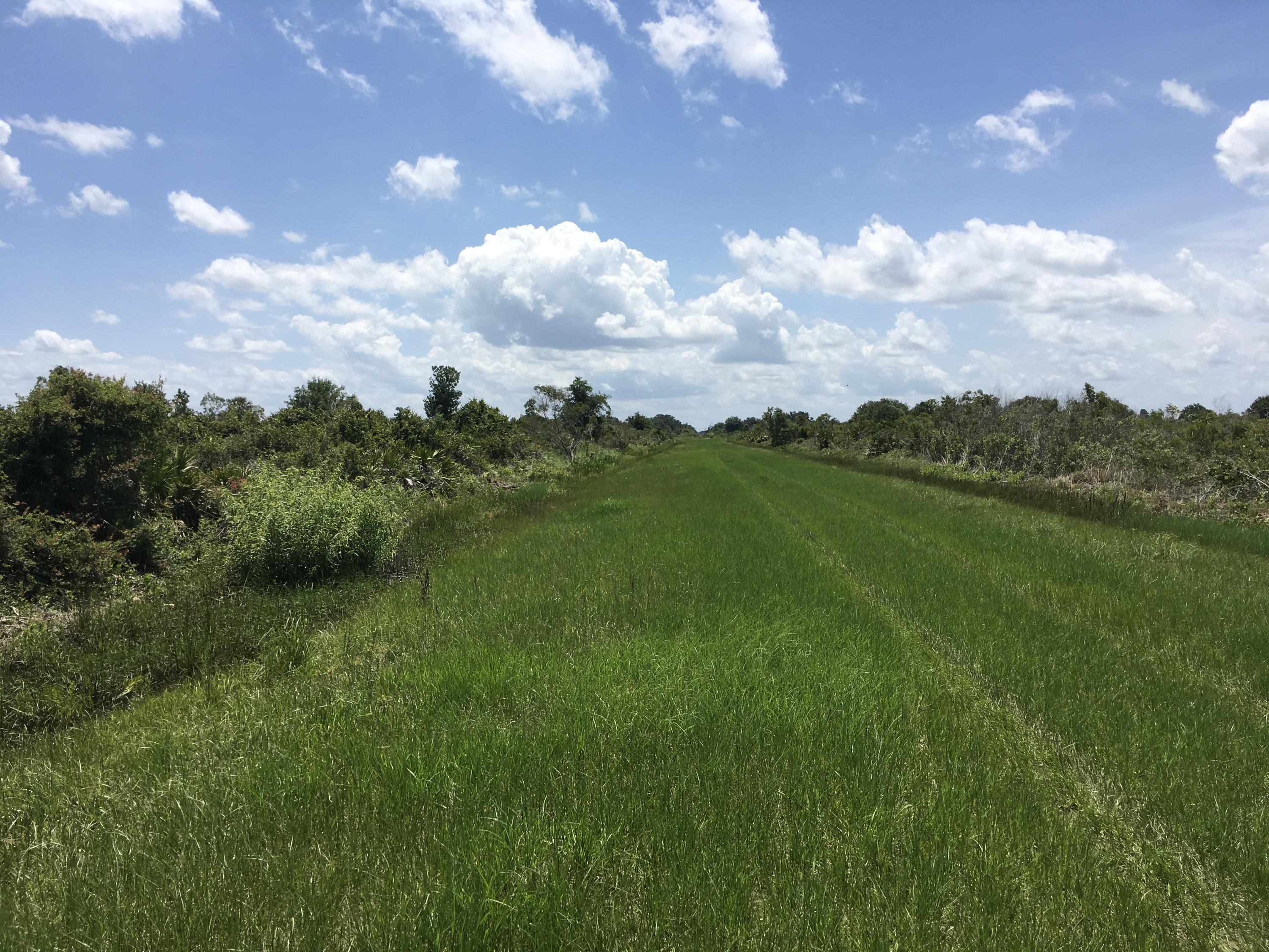 Vikings/Prairie - Land