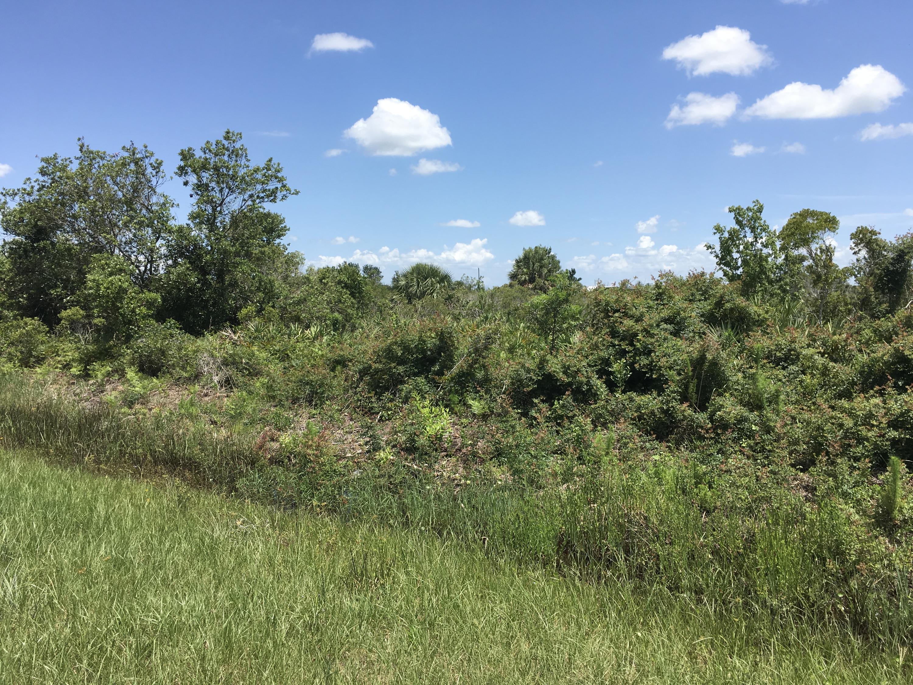 Vikings/Prairie - Land