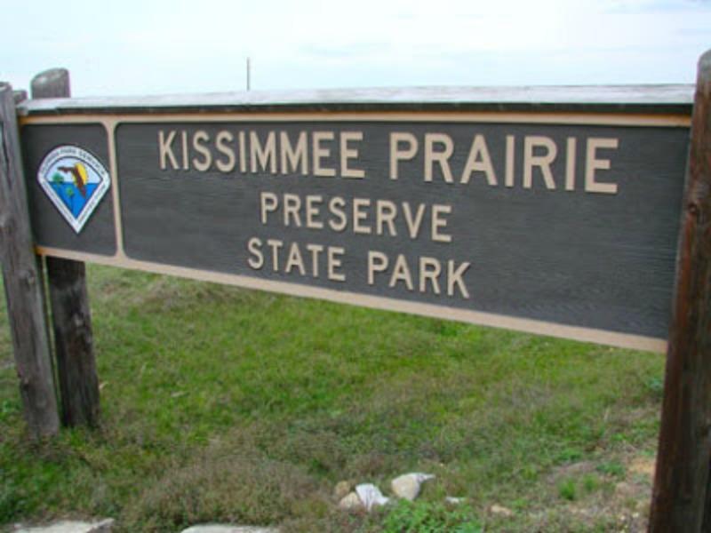 Vikings/Prairie - Land