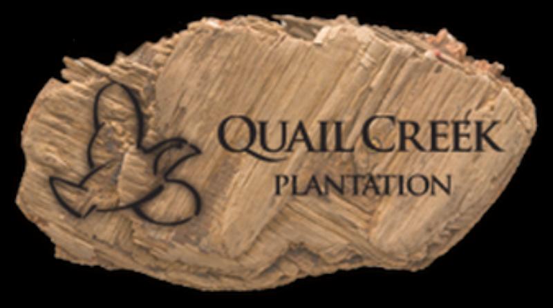 Vikings/Prairie - Land