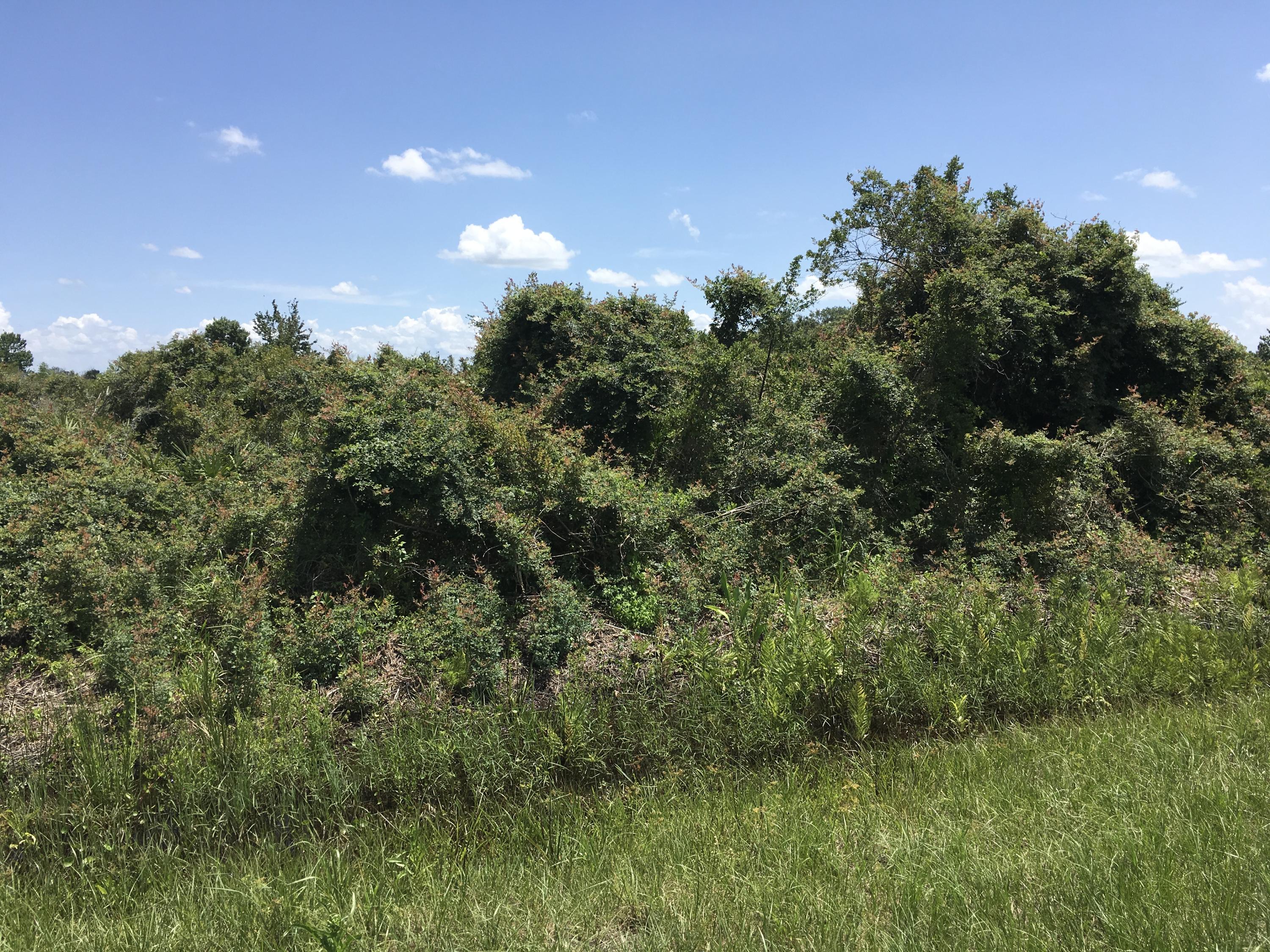 Vikings/Prairie - Land