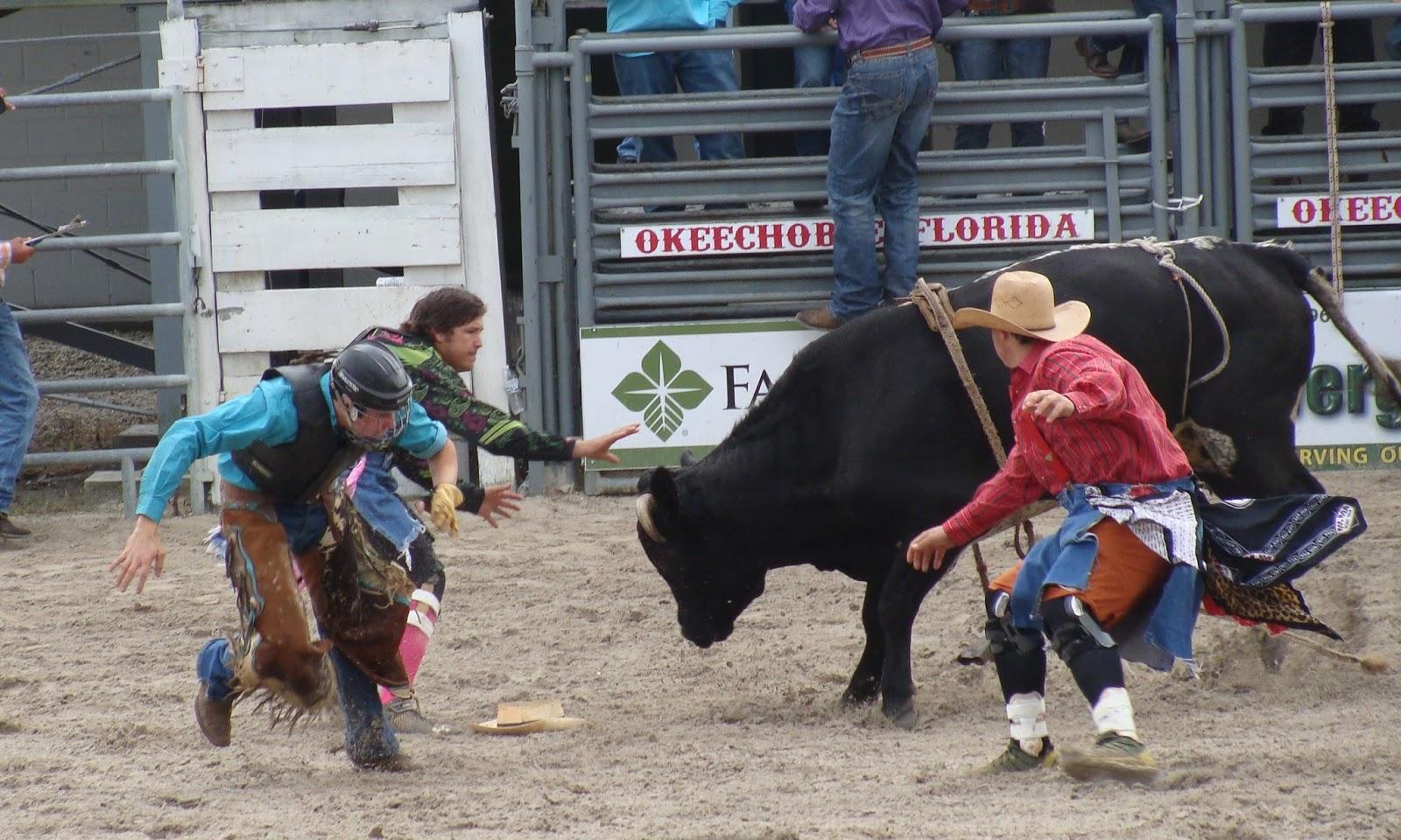 Vikings/Prairie - Land