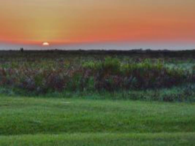 Vikings/Prairie - Land