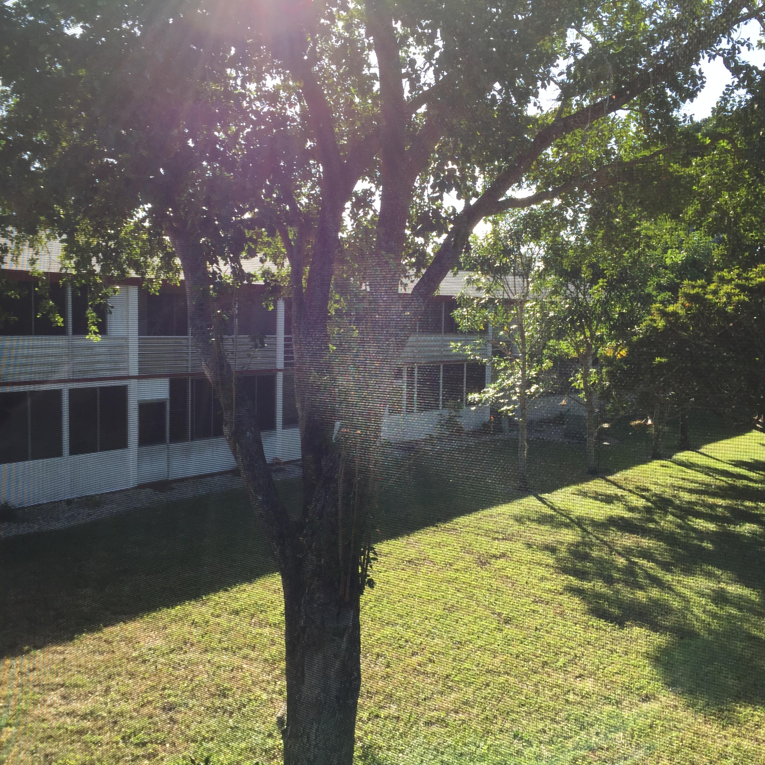 SUSSEX CONDO - Residential