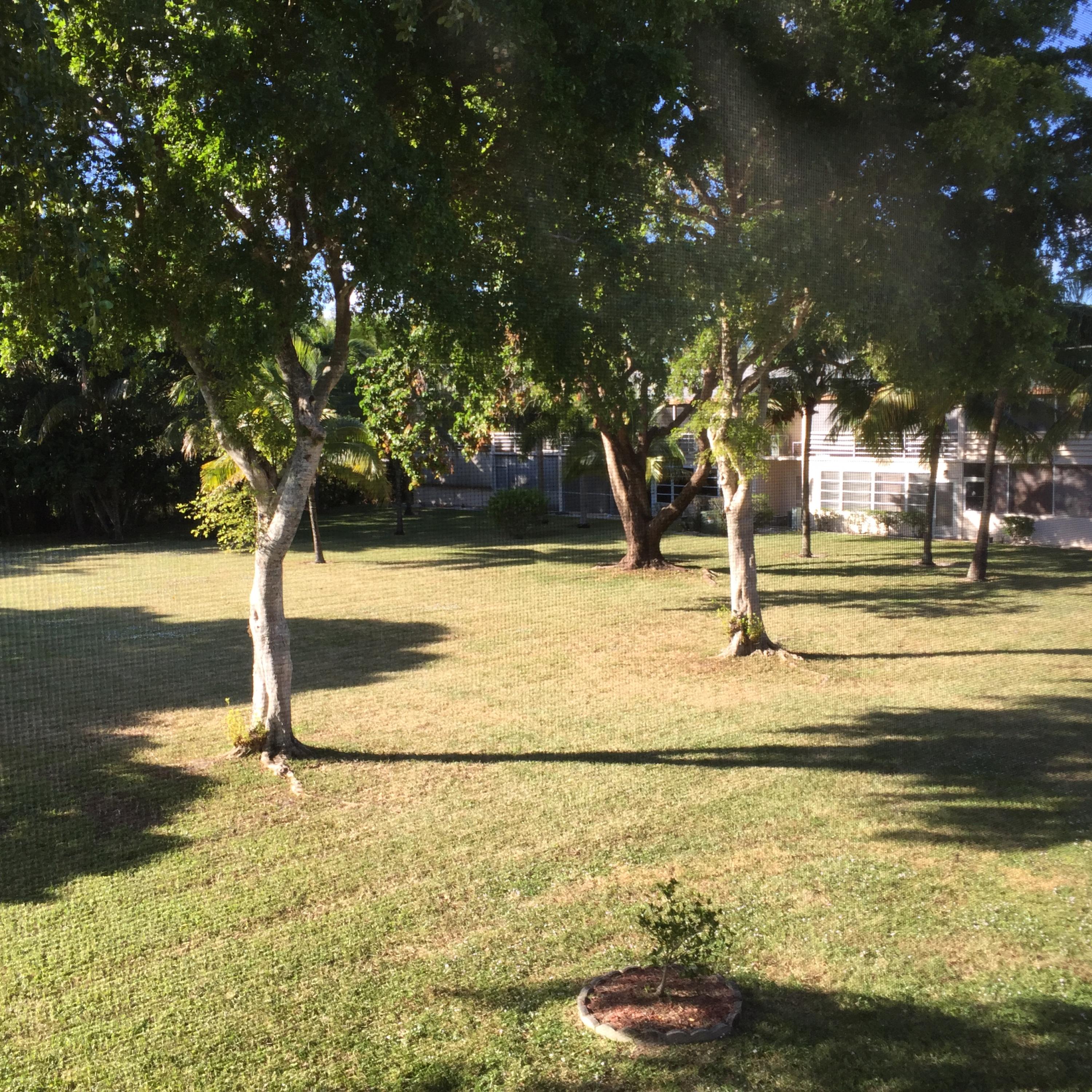 SUSSEX CONDO - Residential