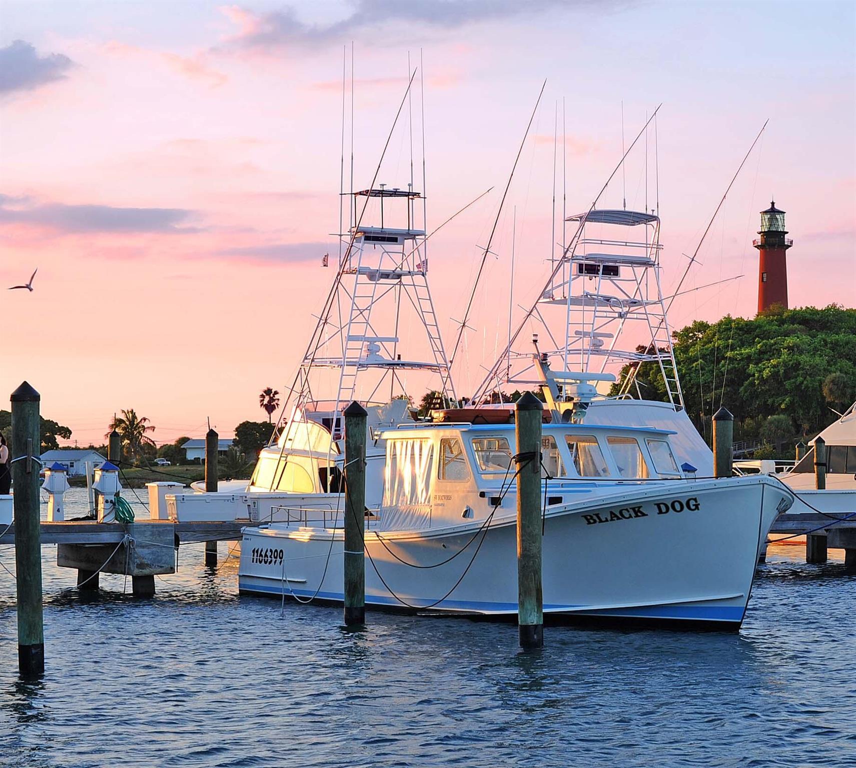 SEA PINES - Residential