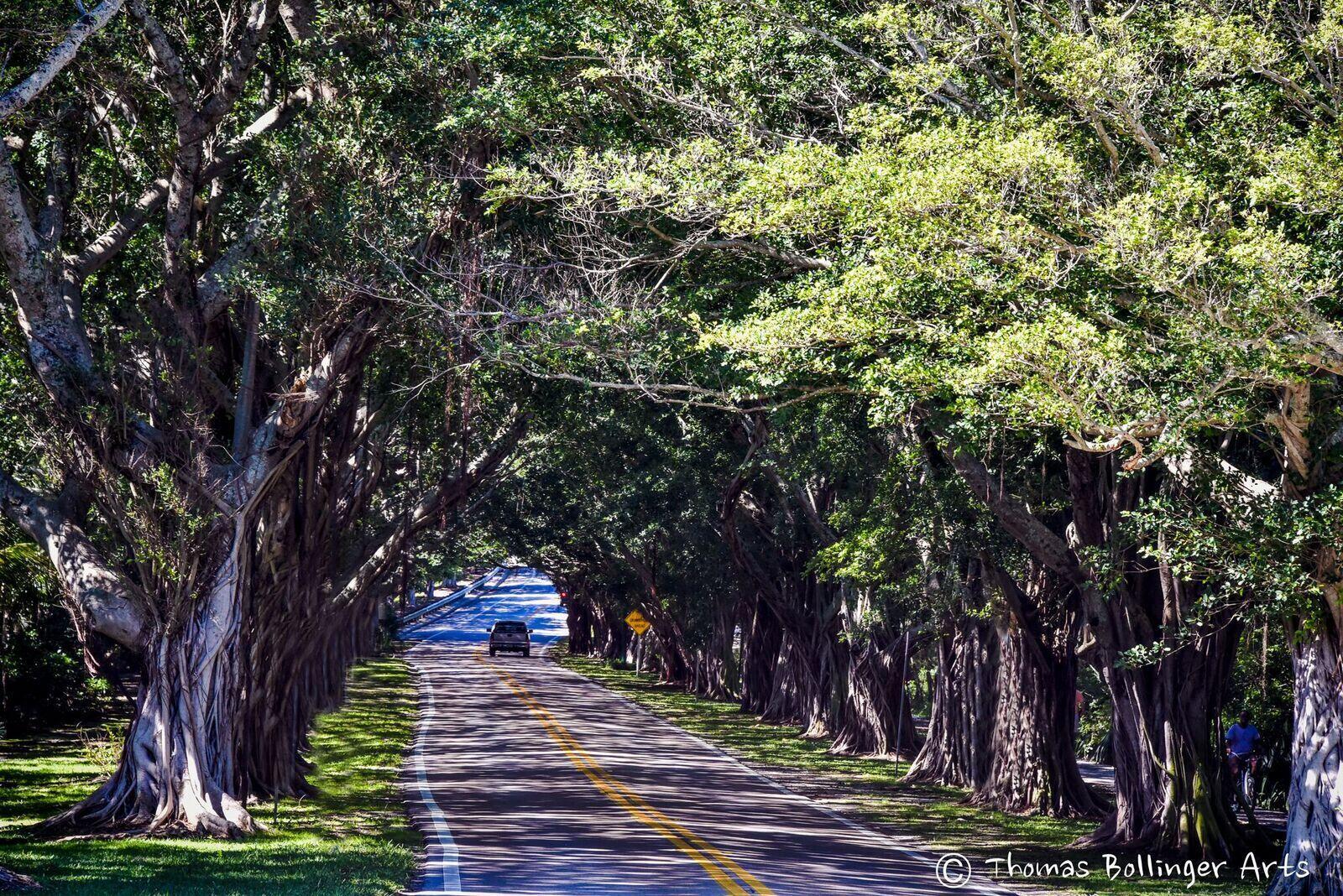 SEA PINES - Residential