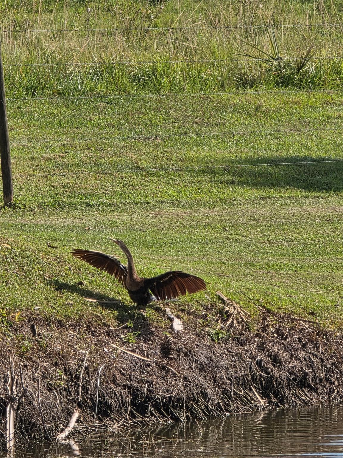 Ancient Oaks R V Residenc - Residential
