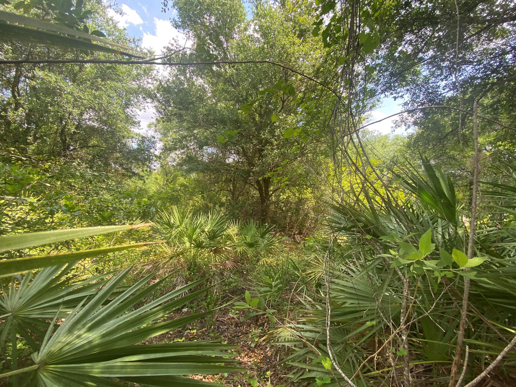 DONT MISS THIS OPPORTUNITY TO ACQUIRE THIS RESIDENTIAL HALF ACRE LOT.BUILD YOUR NEW HOME OR HOLD FOR THE FUTURE CONVENIENT LOCATION, GREAT NEIGHBORHOOD, CONTINUOUSLY GROWING WITH NEWLY BUILT HOUSES NEARBY. NEAR SHOPPING, HOSPITALS SCHOOLS, AND RESTAURANTS. LEE COUNTY OFFERS PLENTY OF OUTDOOR ACTIVITIES. QUICK DRIVE TO BROWARD COUNTY & MIAMI, ONLY MINUTES TO FORT MYERS BEACHES AND A SHORT DRIVE TO BEAUTIFUL NAPLES.BUILD NOW OR INVEST FOR THE FUTURE! Owner Financing Available