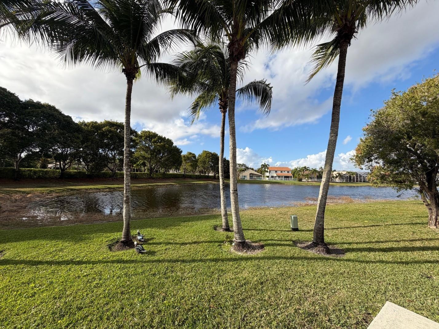 THE FALLS - Residential