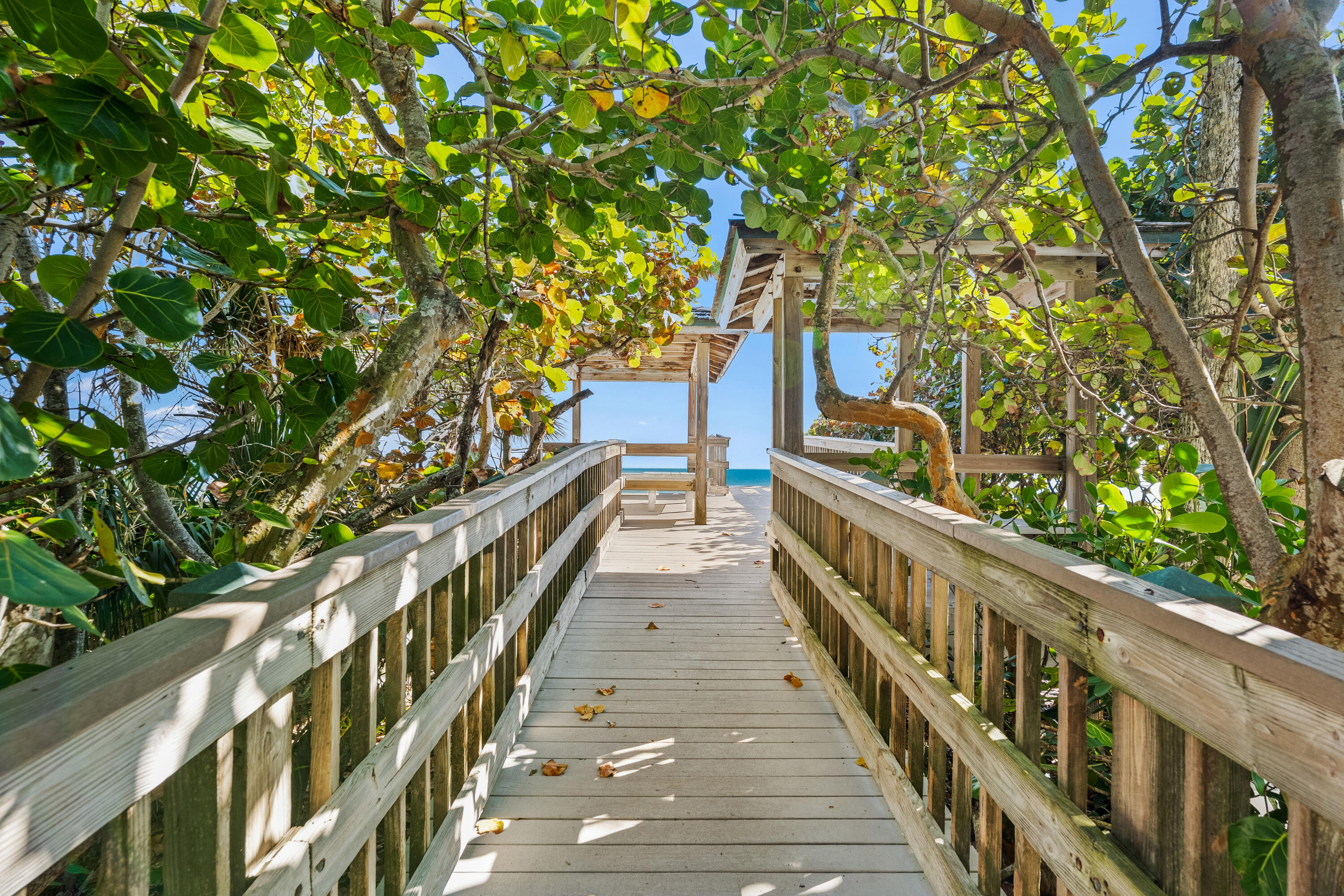 SEA FOREST COURT SUBDIVISION - Residential