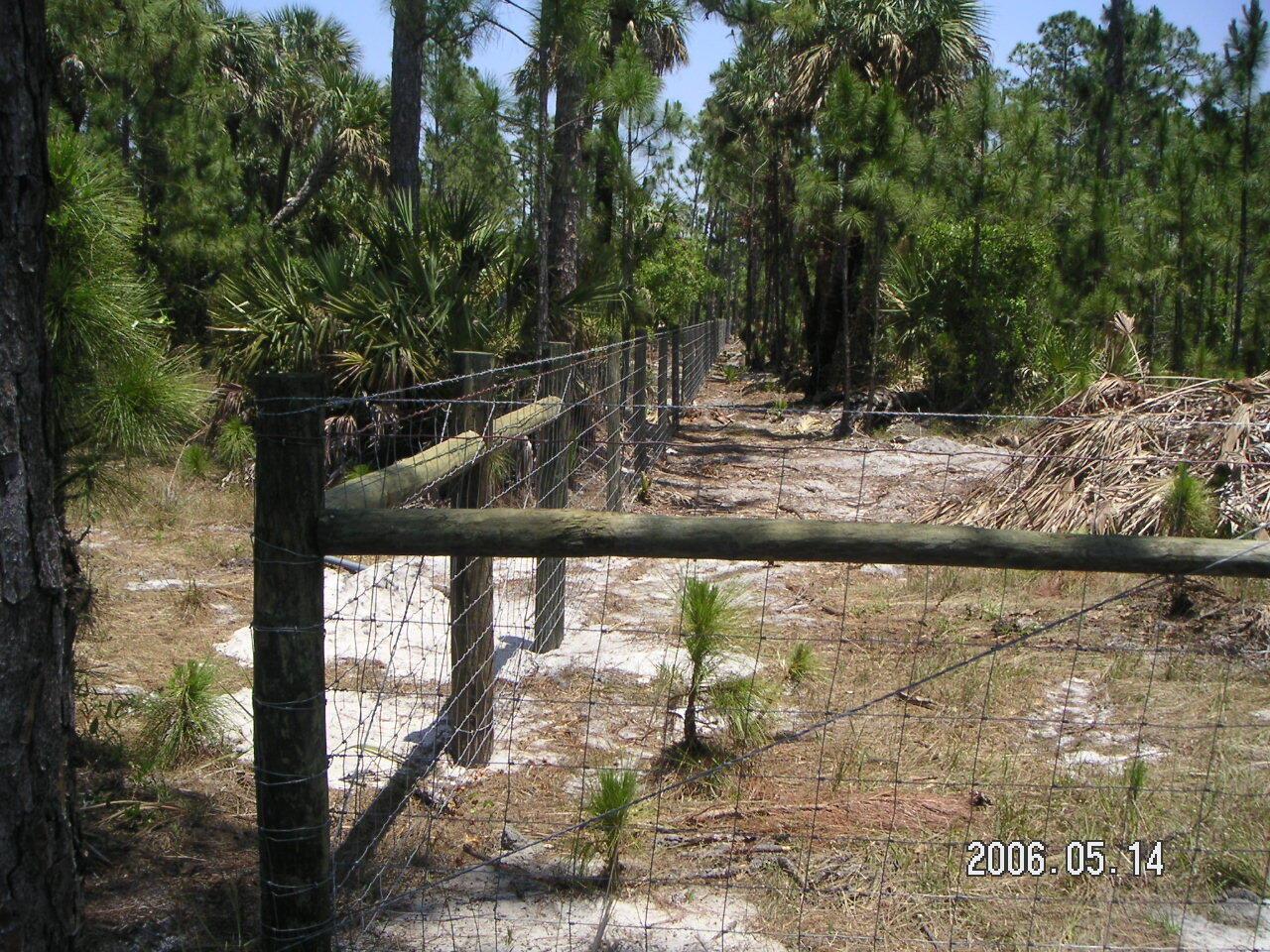 Fellsmere Farms - Land