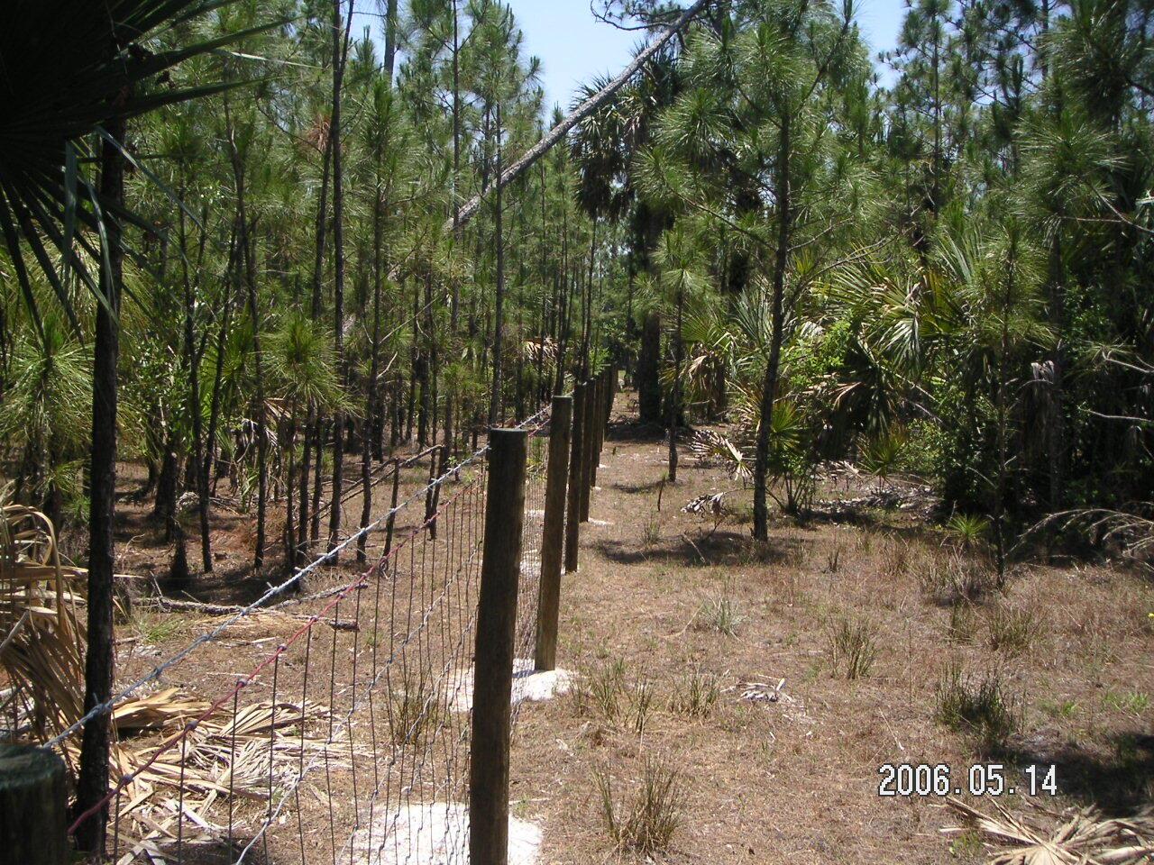 Fellsmere Farms - Land