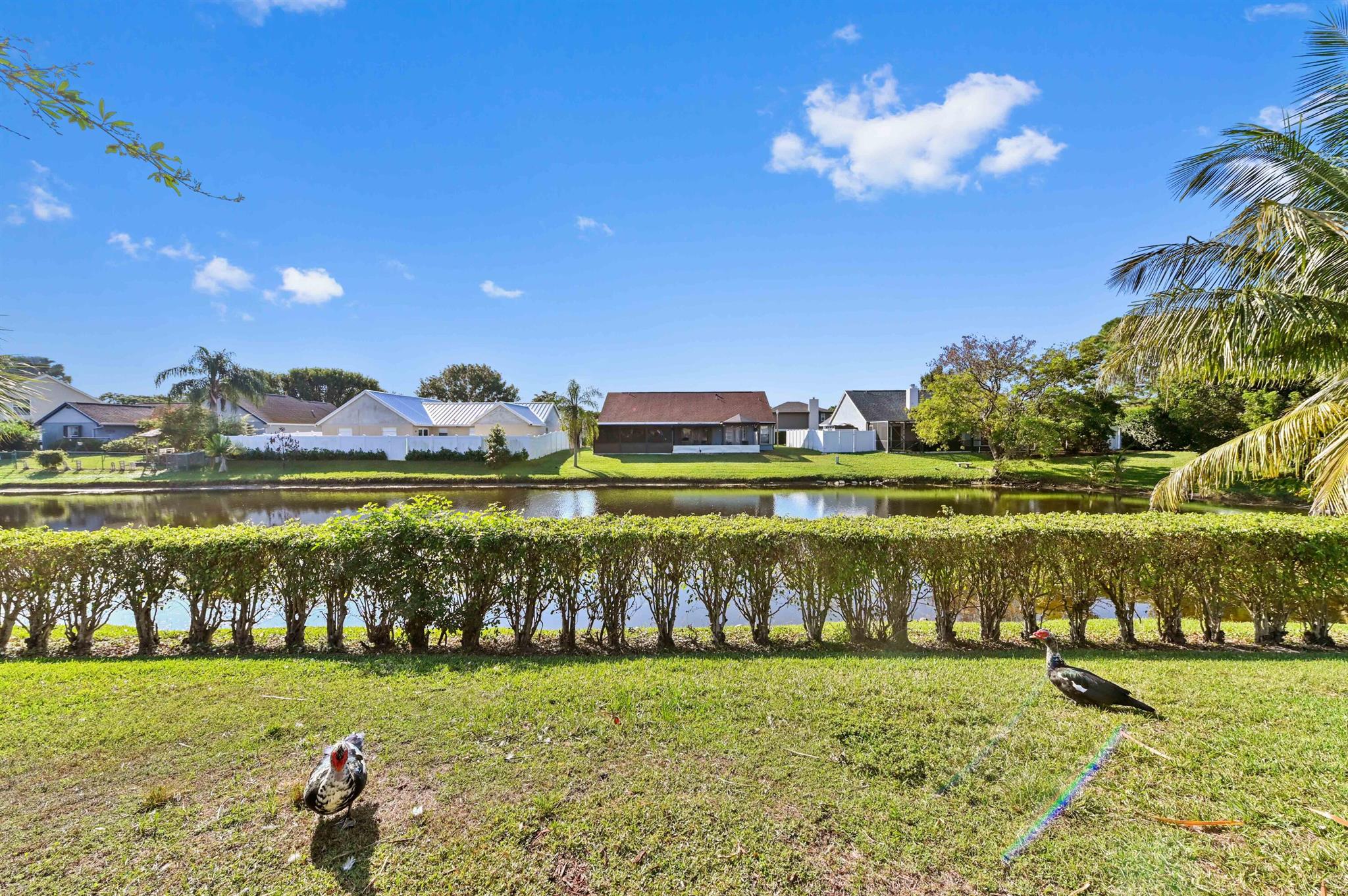 BOYNTON OASIS - Residential