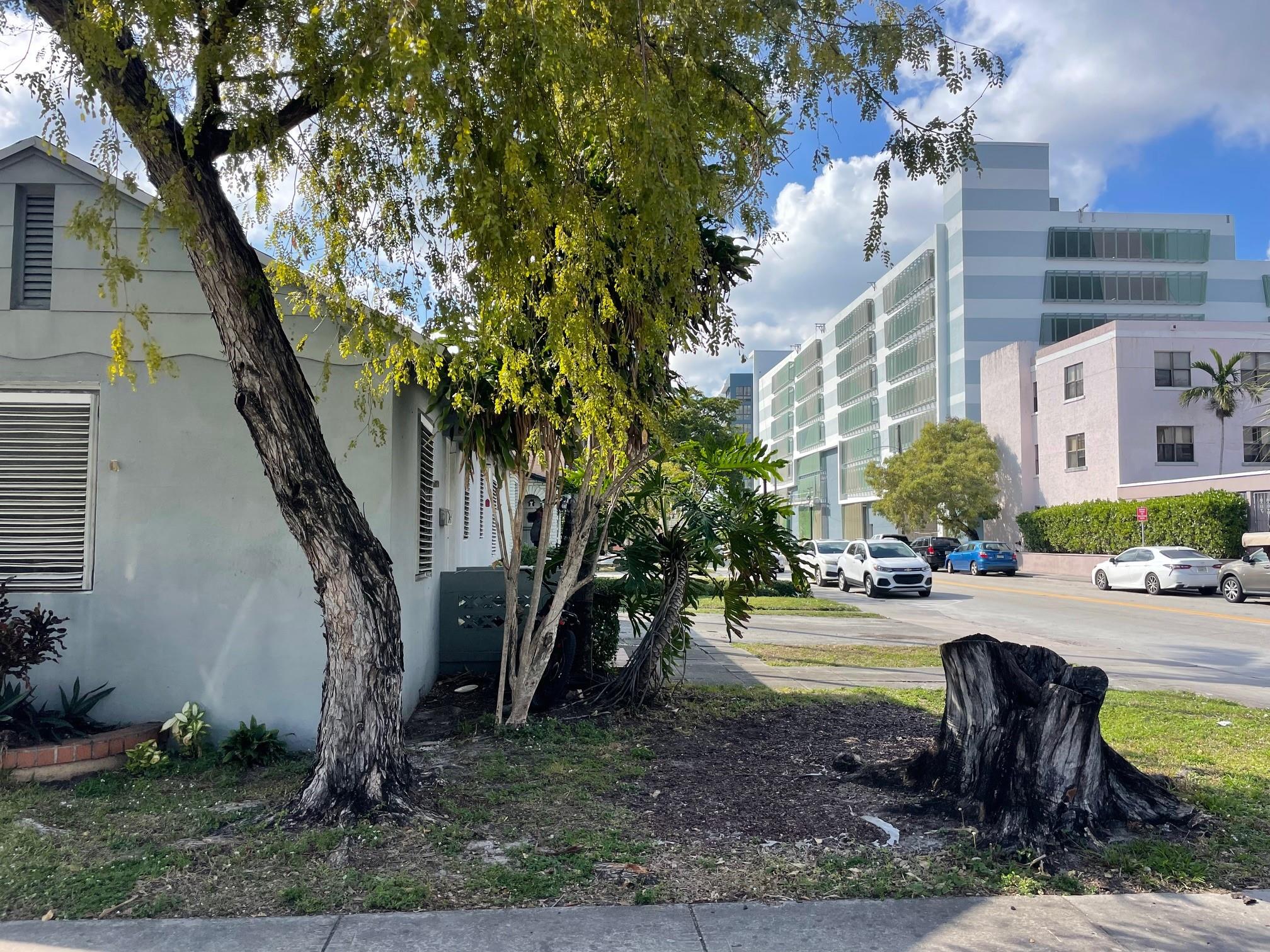 2000 Polk St