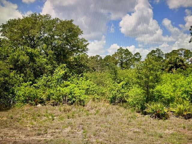 Nice residential lot in up and coming area, only minutes away from LaBelle town center. Close to SR 80, schools, restraurants,etc. No Homeowner's Assn. Great Opportunity!