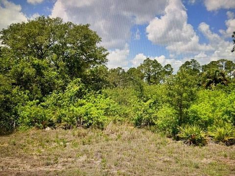 8013 Buttercup Circle Labelle FL 33935