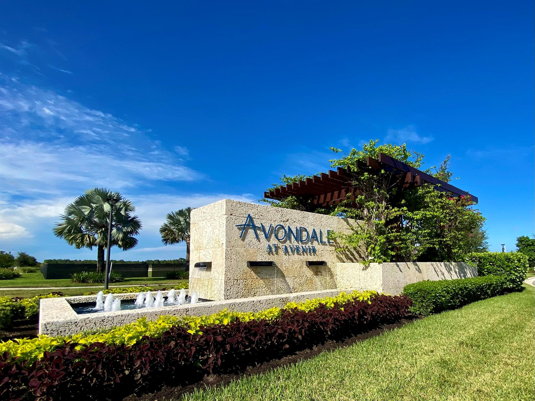 AVONDALE AT AVENIR - Residential
