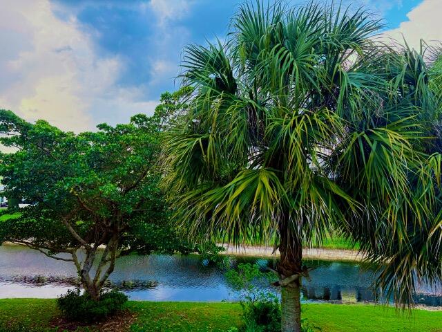 PLUM AT BOCA POINTE CONDOS ONE THRU 15 FILED IN OR - Residential Lease