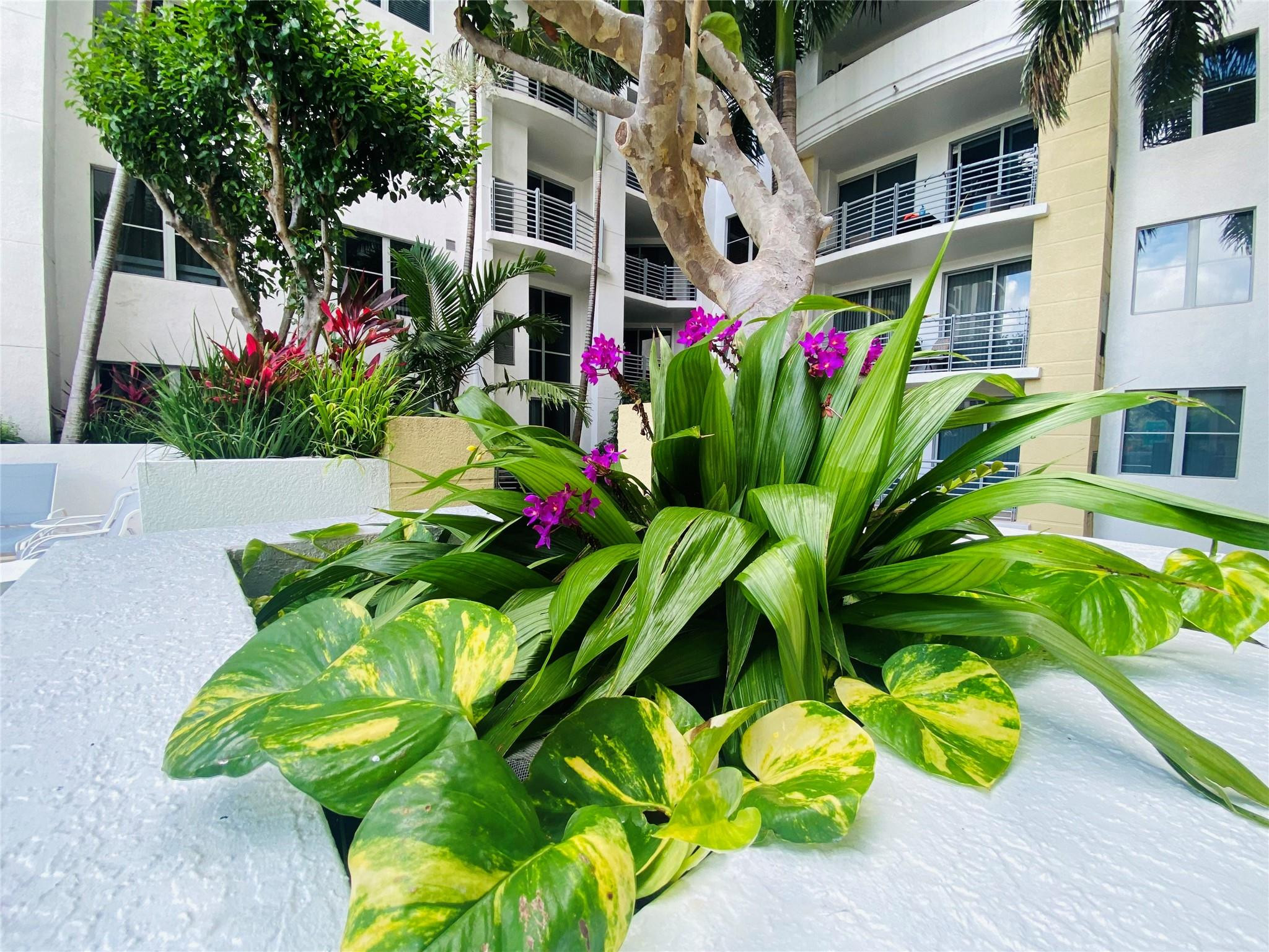 Radius Condo - Residential