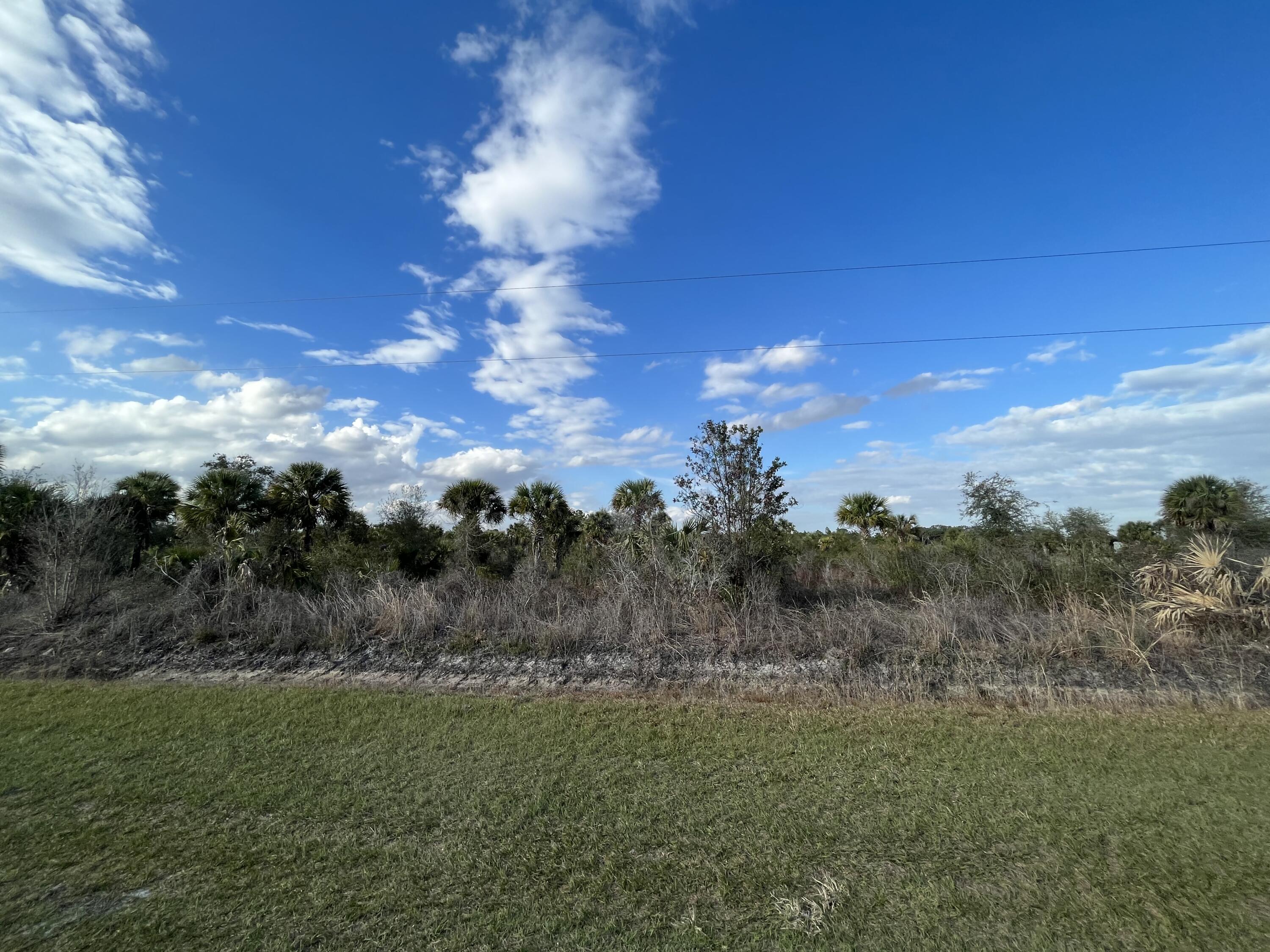 Build or bring your dream home and barn on this beautiful and private high and dry 1.5 acre just off the main paved road. There are power poles on this street making it easy to get power to your new home. there is so much to enjoy in Okeechobee County. Come to The Kissimmee River Preserve State Park West of this area as well is the Kissimmee River. The Kissimmee River flows into Lake Okeechobee and is well known for some of the best fishing. whether you like Fishing, hunting, mudding agriculture or just privacy here you have it all.