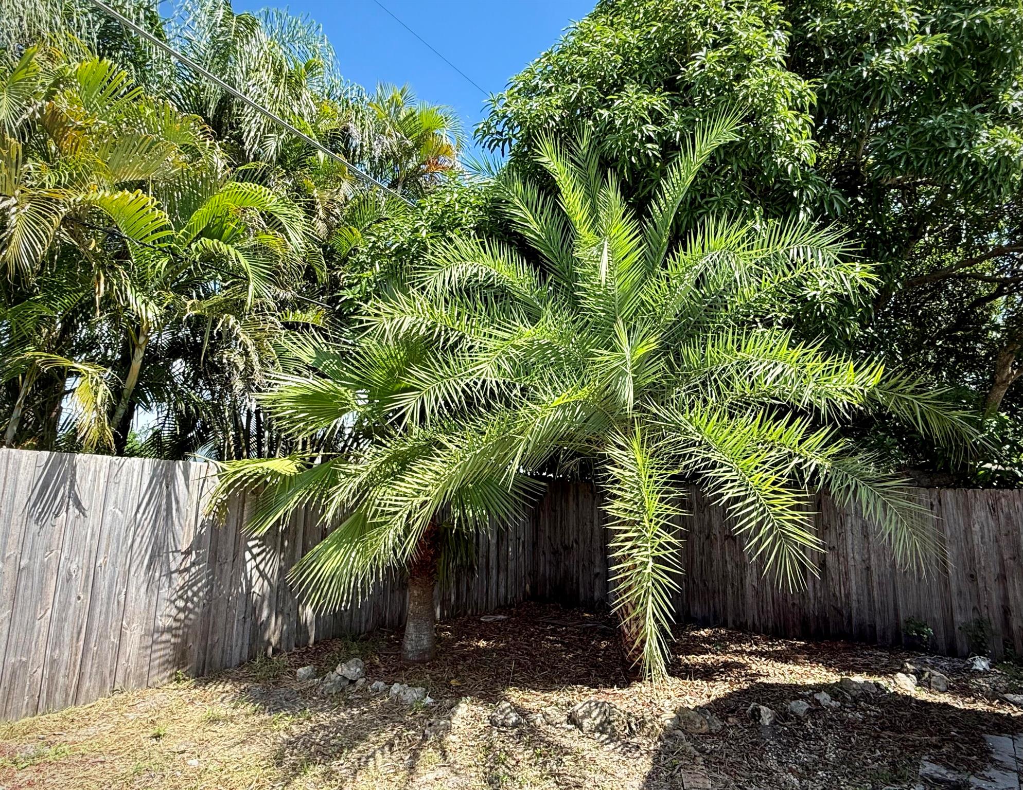 LEILANI HEIGHTS - Residential