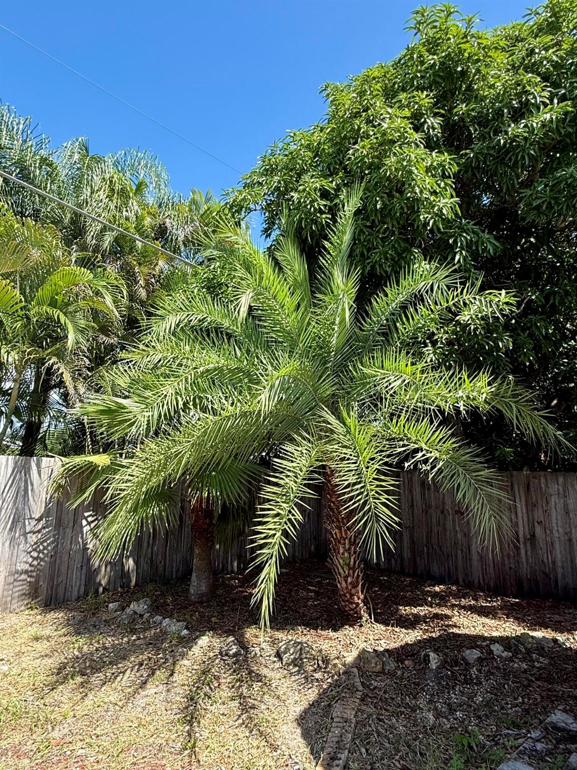 LEILANI HEIGHTS - Residential