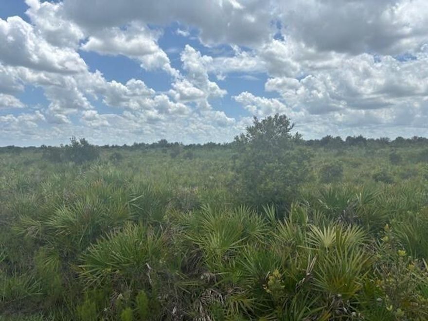 Double lot in Viking Estates. Close to the Kissimmee Prairie State Park. Bring your 4 -wheelers. This property is not only ideal for recreational uses such has camping, hunting and shooting, but it’s agricultural as well. 

Owner financing available