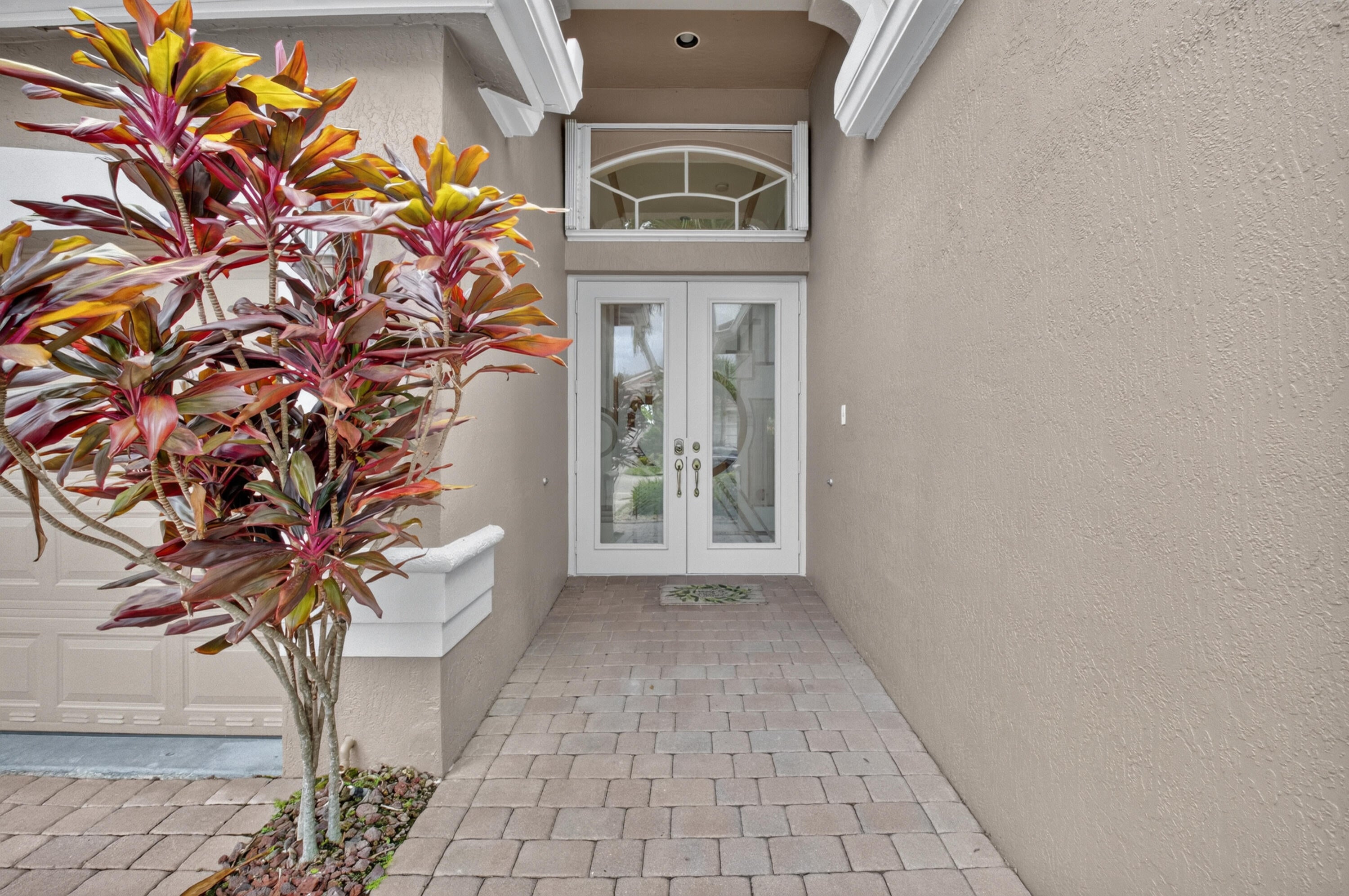 6561 PISANO Drive