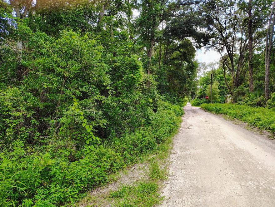 be the first to build your dream home on this pristine 0.19 acreage corner lot with local amenities close by. Truly a perfect location for investors, first time homebuyers or just simply someone trying escape the hassle of the HOA.