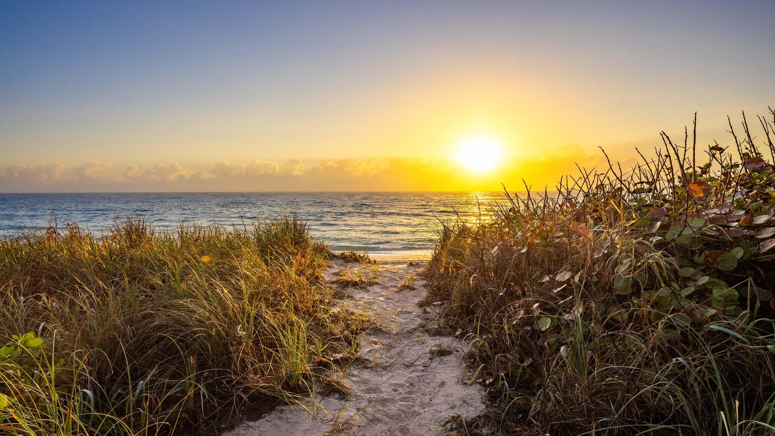 COMMISSIONERS MAP GEDNEY VS PIERSON CHANCERY # 880 - Residential