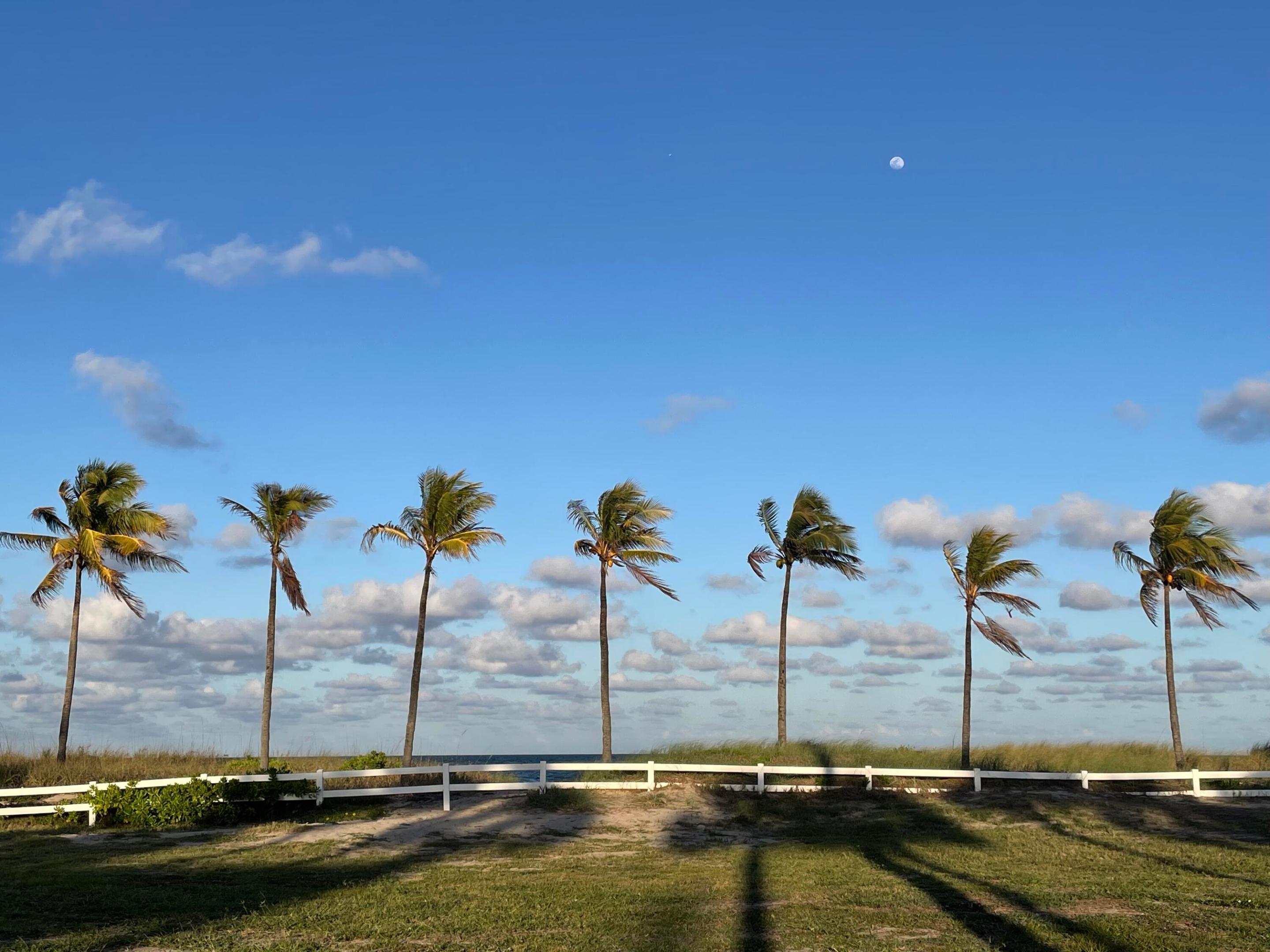 POINCIANA-BY-THE-SEA CONDO - Residential