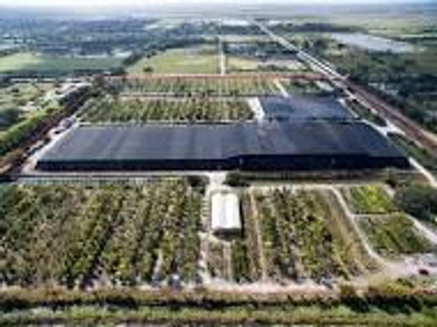 THIS PRIME 38.5+ ACRES PROPERTY ON NORTH SIDE OF 50TH ST SO IS ONE OF THE LARGEST PARCELS AVAILABLE IN WELLINGTON CLOSE TO WEF. PARTIALLY CLEARED WITH OPERATING TREE NURSERY ON SITE, CURRENTLY DIVIDED INTO THREE PARCEL NUMBERS. EXCELLENT OPPORTUNITY FOR D EVELOPMENT AS EQUESTRIAN. BY APPOINTMENT ONLY, LISTING AGENT MUST ACCOMPANY ALL SHOWINGS.