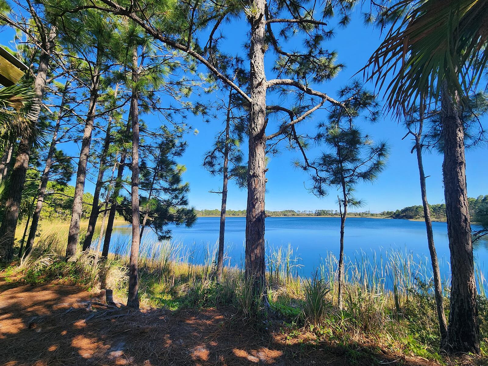 SUNNY ACRES SUBDIVISION - Residential Income