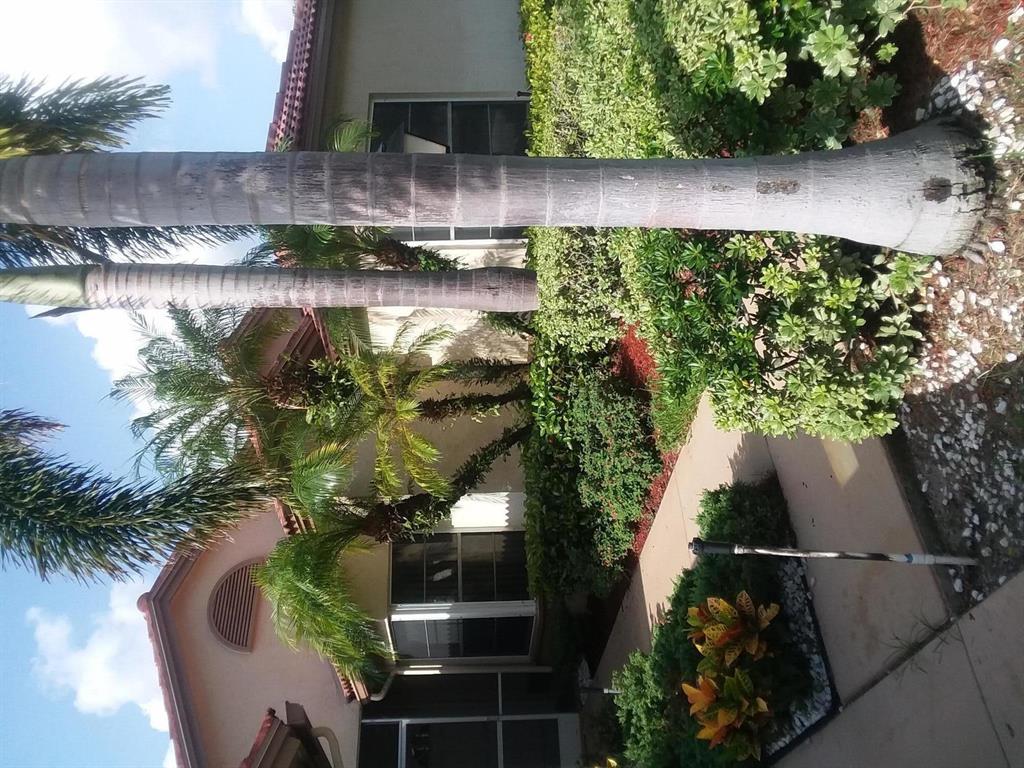 Summer Chase - Residential Lease